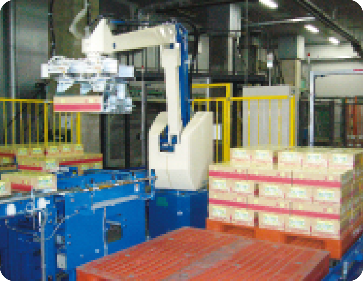 Palletizer Machine Manufacturers